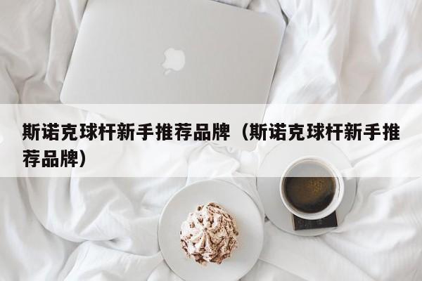 斯诺克球杆新手推荐品牌（斯诺克球杆新手推荐品牌）
