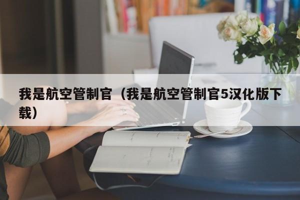 我是航空管制官（我是航空管制官5汉化版下载）