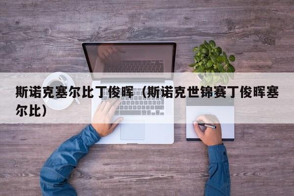 斯诺克塞尔比丁俊晖（斯诺克世锦赛丁俊晖塞尔比）