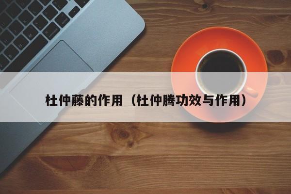 杜仲藤的作用（杜仲腾功效与作用）