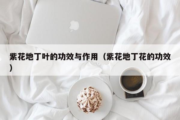紫花地丁叶的功效与作用（紫花地丁花的功效）