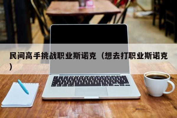 民间高手挑战职业斯诺克（想去打职业斯诺克）