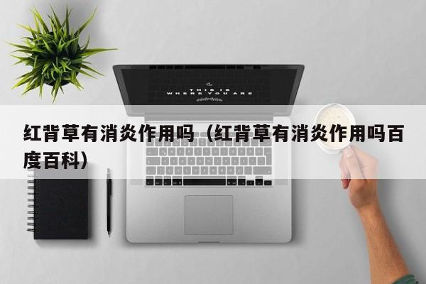 红背草有消炎作用吗（红背草有消炎作用吗百度百科）