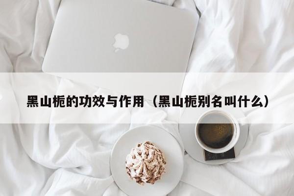 黑山栀的功效与作用（黑山栀别名叫什么）