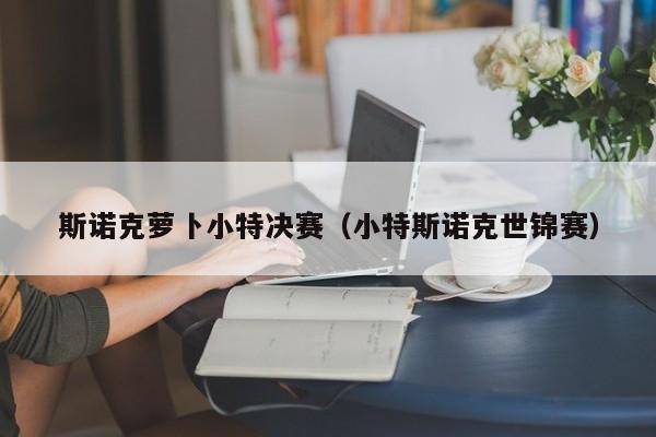 斯诺克萝卜小特决赛（小特斯诺克世锦赛）