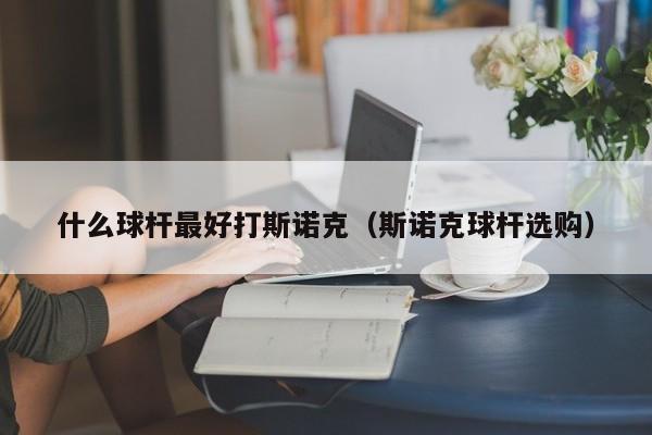 什么球杆最好打斯诺克（斯诺克球杆选购）