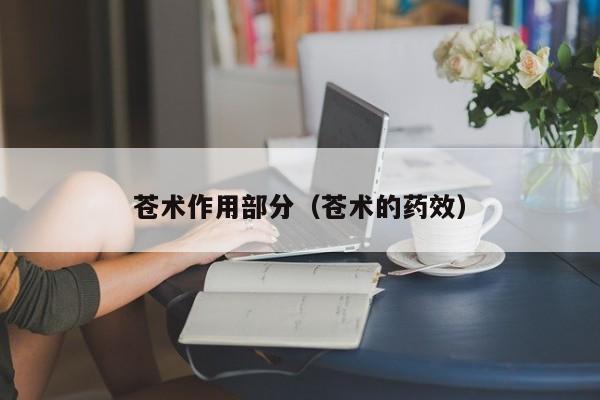 苍术作用部分（苍术的药效）