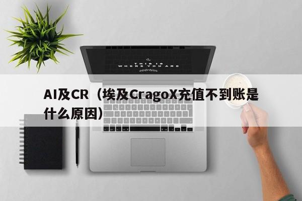 AI及CR（埃及CragoX充值不到账是什么原因）