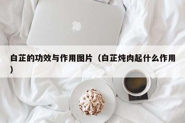 白芷的功效与作用图片（白芷炖肉起什么作用）