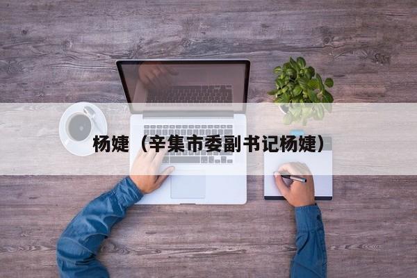 杨婕（辛集市委副书记杨婕）
