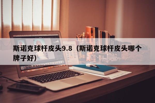 斯诺克球杆皮头9.8（斯诺克球杆皮头哪个牌子好）