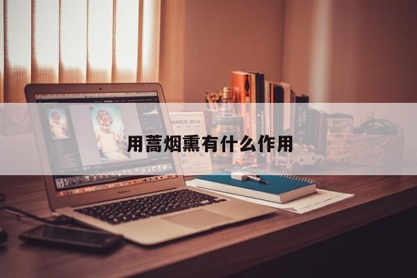 用蒿烟熏有什么作用