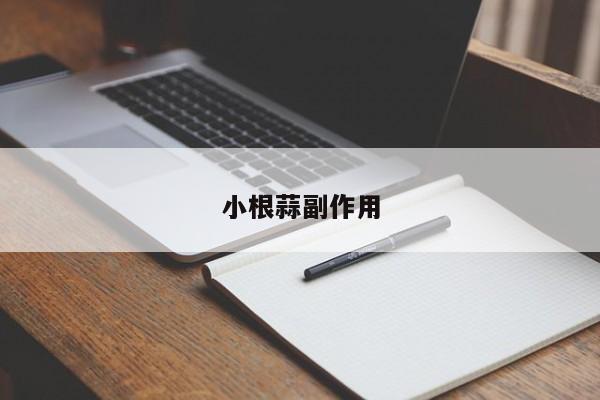 小根蒜副作用