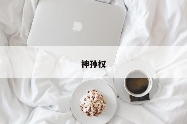 神孙权