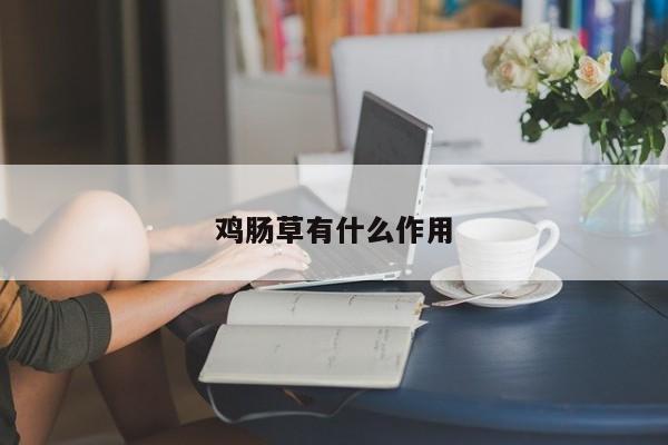 鸡肠草有什么作用