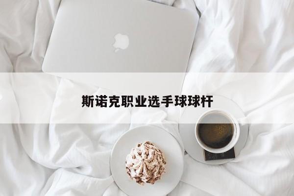 斯诺克职业选手球球杆