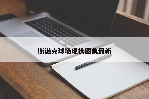 斯诺克球场现状图集最新