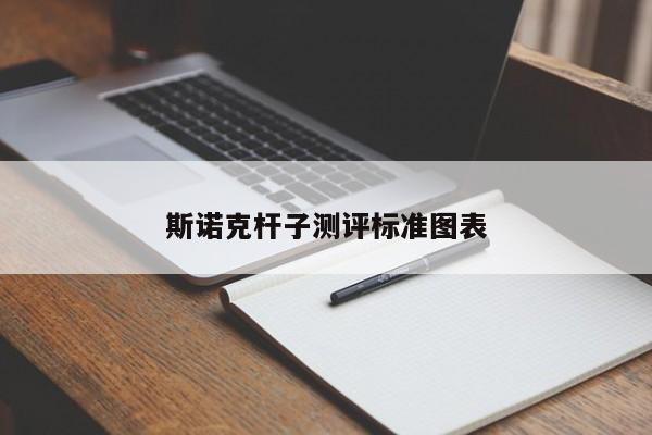 斯诺克杆子测评标准图表